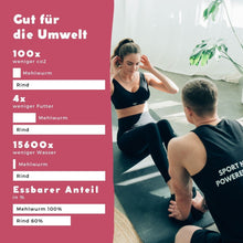 Laden Sie das Bild in den Galerie-Viewer, Mybugbar - Insekten Protein Porridge

