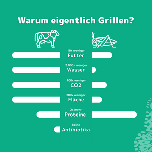 High Protein Pasta - Sorten: Natur, Tomate und Steinpilz