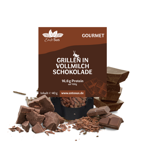 Knusprige Grillen in Belgischer Vollmilch Schokolade