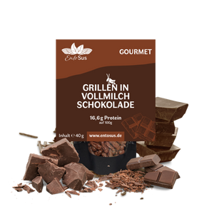 Knusprige Grillen in Belgischer Vollmilch Schokolade