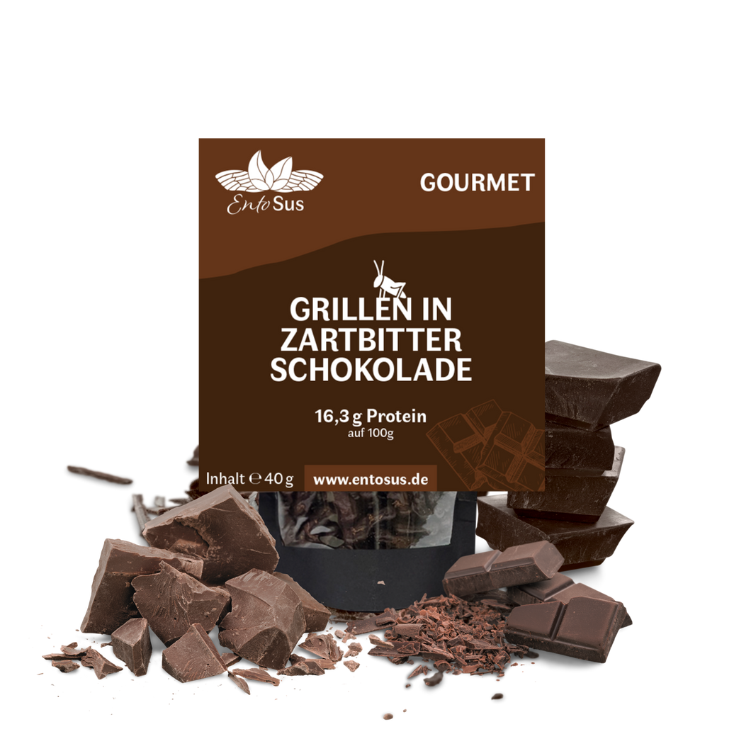 Knusprige Grillen in Belgischer Zartbitter Schokolade